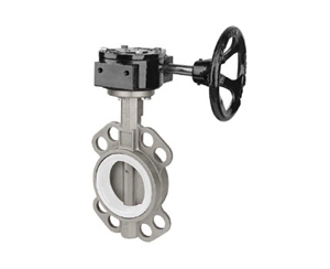 軟密封蝸輪四氟對夾式蝶閥D371F-6/10/16